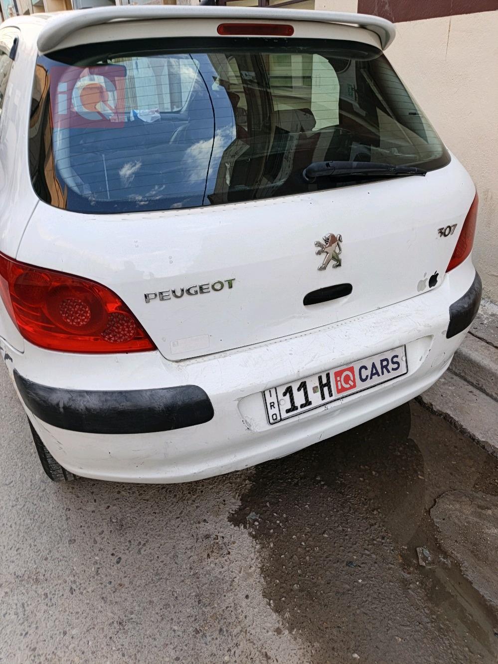 بيجو 307